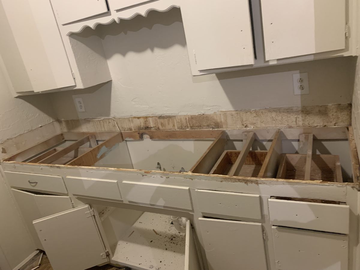 Project 8 during: kitchen demo
